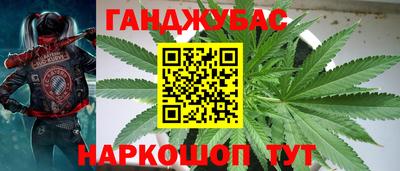 МДПВ Будённовск