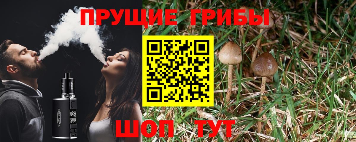 Псилоцибиновые грибы Cubensis Тюмень