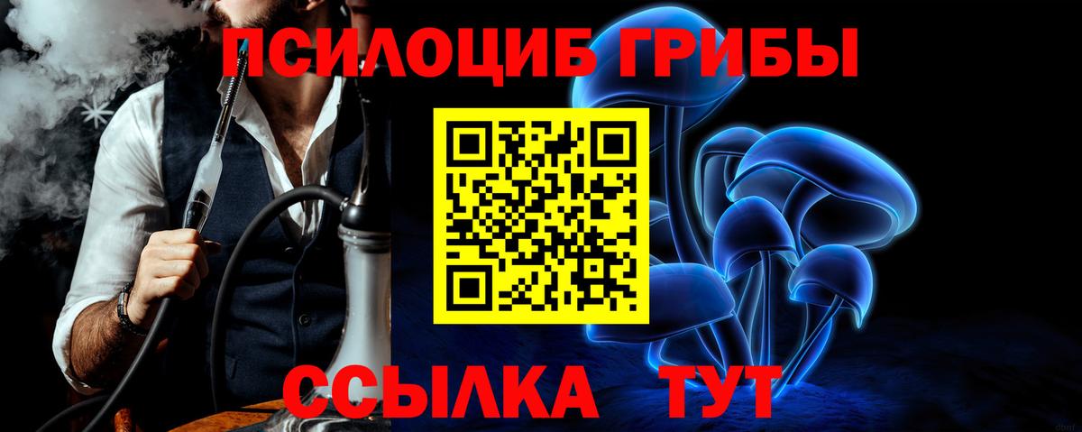 Галлюциногенные грибы MAGIC MUSHROOMS  наркота  Тюмень  Галлюциногенные грибы Magic Shrooms  Вход с VPN 